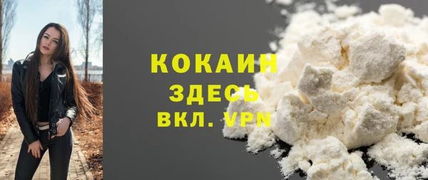 прущий лед Новозыбков