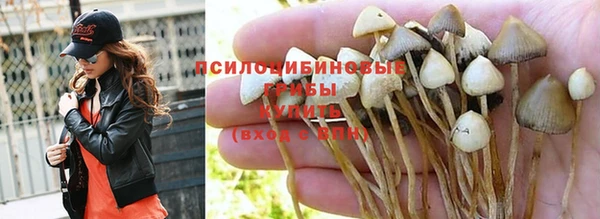 кокаин перу Арсеньев